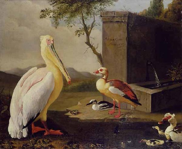 Adriaen Coorte Pelican and ducks in a mountain landscape or Oriental Birds Spain oil painting art